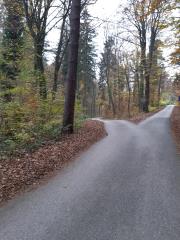 5. zavitje skrajno levo